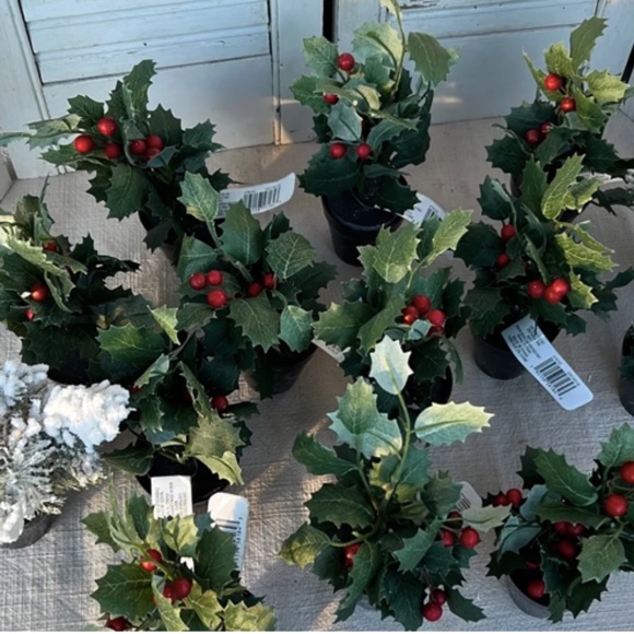 Ashland Holiday 4 Mini Potted Christmas Plants Artificial Ashland